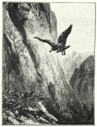 Nido de águila en el Monte Sinaí