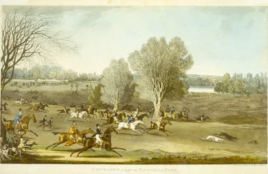 Galguería - Una vista de Hatfield Park (grabado por James Pollard)