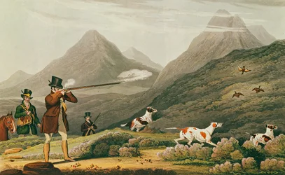 Tiro al urogallo (grabado en color)