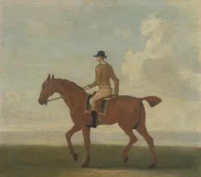 Un caballo de carreras castaño con jinete, c.1730