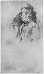 Lord Wolseley, siglo XIX 1904