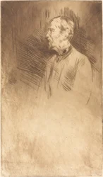 Lord Wolseley, c. 1877