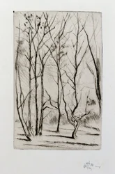 El bosque del dique