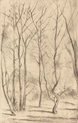 El bosque del dique, 1875