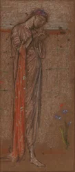 El Iris Púrpura, 1871-1872
