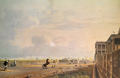Vista de Esplanade Row desde Chouringhee Road, Calcuta, grabado por Robert Havell, pub. 1824