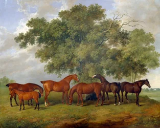 El Estudio de Theobald, 1825