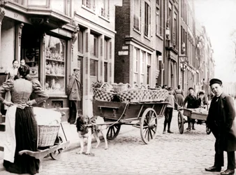 Carro de perros, Amberes, 1898