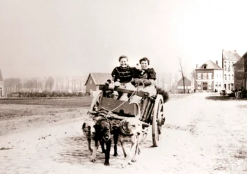 Perros tirando de mujeres en un carro, Amberes, 1898