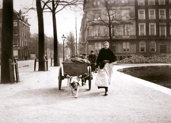 Mujer con carrito de perro, Róterdam, 1898