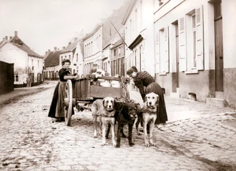 Mujeres y carro de perros, Amberes, 1898