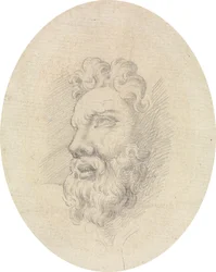 Cabeza de hombre barbudo