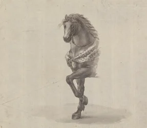 Estudio de la parte delantera de un caballo
