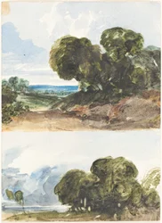 Dos bocetos de árboles