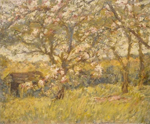 Flor de manzano (óleo sobre lienzo)