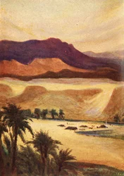 Un campamento en Palestina en Elim - Heb. xiii. 11