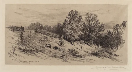 Un campo en barbecho