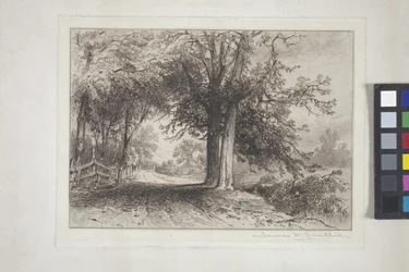 Paisaje (aguafuerte, chine collé)