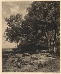 paisaje y ovejas