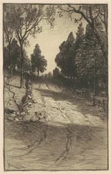 Subiendo la colina