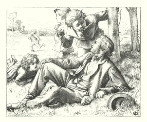 Domingo en los campos