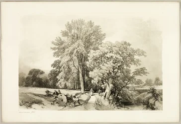 Abele y el roble, de El parque y el bosque