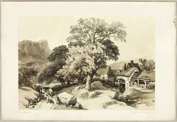 El fresno y el roble, de El parque y el bosque