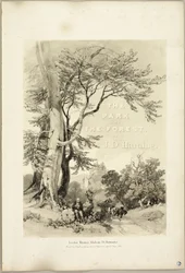 Haya y roble (Frontispicio), de El parque y el bosque