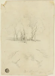 Grupo de árboles