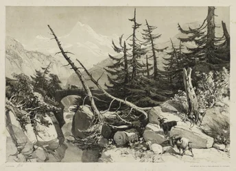 Pinos y puente