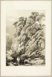 Olmo y abetos, de El Parque y el Bosque