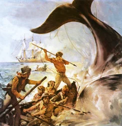 Pedro el Ballenero