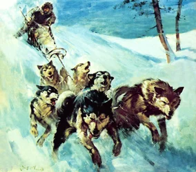 El husky canadiense