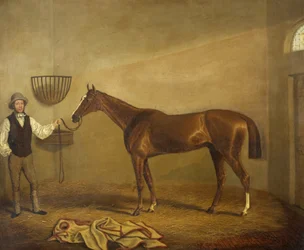Bravissimo, Ganador de la Copa de Caza de Monmouthshire en Abergavenny