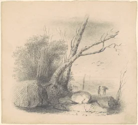 Figuras en la orilla
