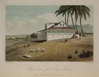 Castillo de Bryan, Great House, Trelawny