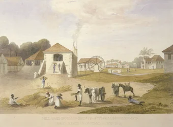 Mill Yard, Holland Estate, Santo Tomás del Este