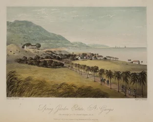 Spring Garden Estate, St George