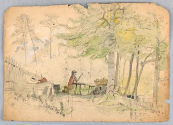 Campamento en el Bosque