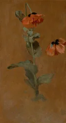 Estudio de amapolas, 1832 (post conservación)