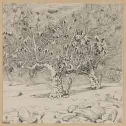 Higuera, Valle de Hinnom, ilustración de La Vida de Nuestro Señor Jesucristo