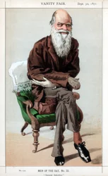 Selección natural, 1871