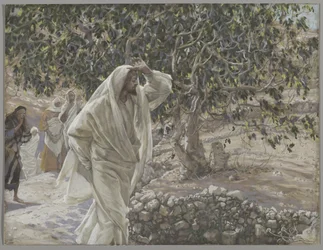 La higuera maldita, ilustración de La vida de Nuestro Señor Jesucristo, 1886-94