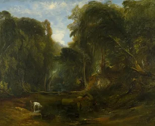 Valle del Ruiseñor