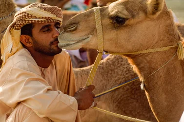 Un omaní besa a su camello de ojos dulces en la carrera de camellos del Día Nacional. Distrito de Al Falaj...