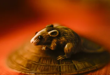 Antiguo netsuke japonés de marfil escultura en miniatura de una rata