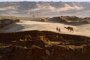Camello con miembros de una caravana de la sal atraviesan una meseta desértica en BILMA, NÍGER. BILMA, NÍGER.