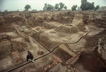Vista general de una fosa rellena con restos de muros de ladrillo, un pozo de ladrillo. HARAPPA E...
