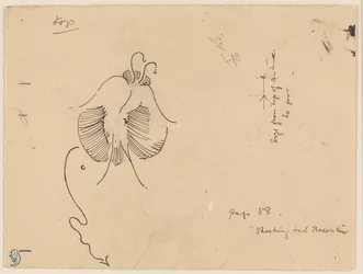 Mariposa (anverso); fragmento de mariposa (reverso)