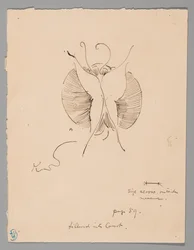 Mariposa (anverso); fragmento de mariposa (reverso)